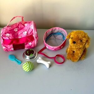 Pet Dog with Matching Accessories